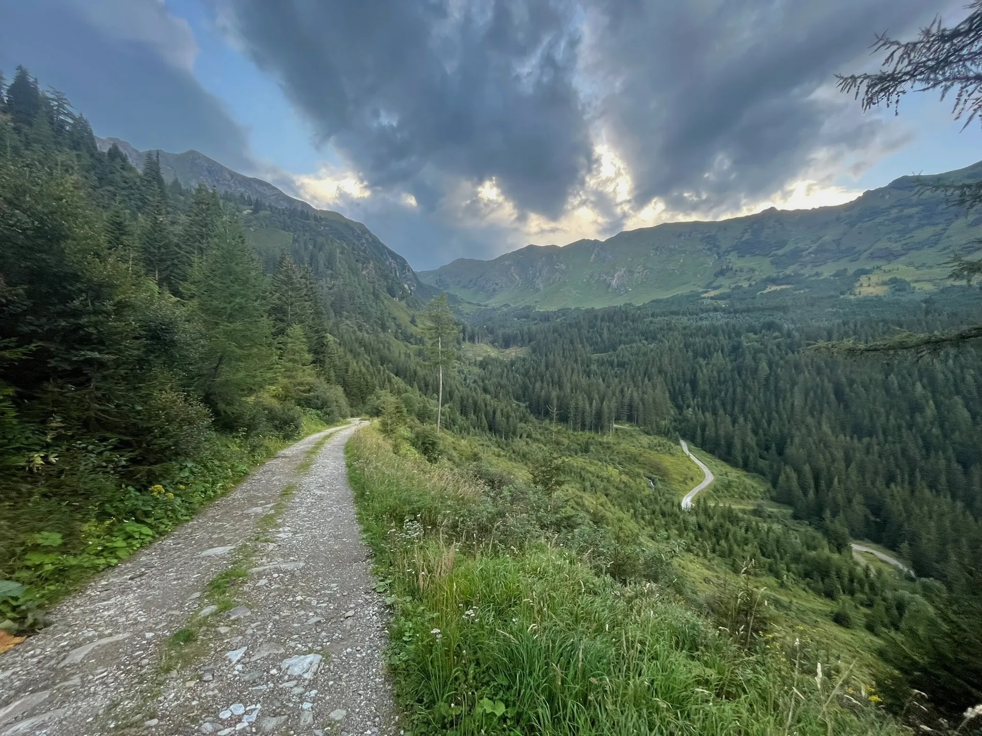 Die Wanderung auf den Hohenwart führt von Beginn an durch unberührte Natur mit vielen kleinen Bächen.