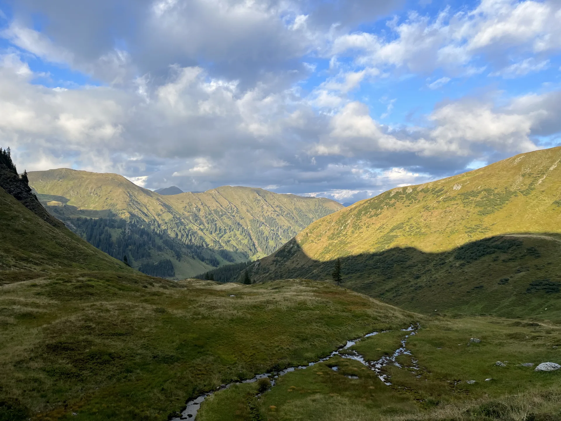 Die Wanderung auf den Hohenwart führt von Beginn an durch unberührte Natur mit vielen kleinen Bächen.